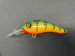 Perch - Orange Belly - 5KO